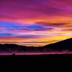 Meet your Posher, Regina